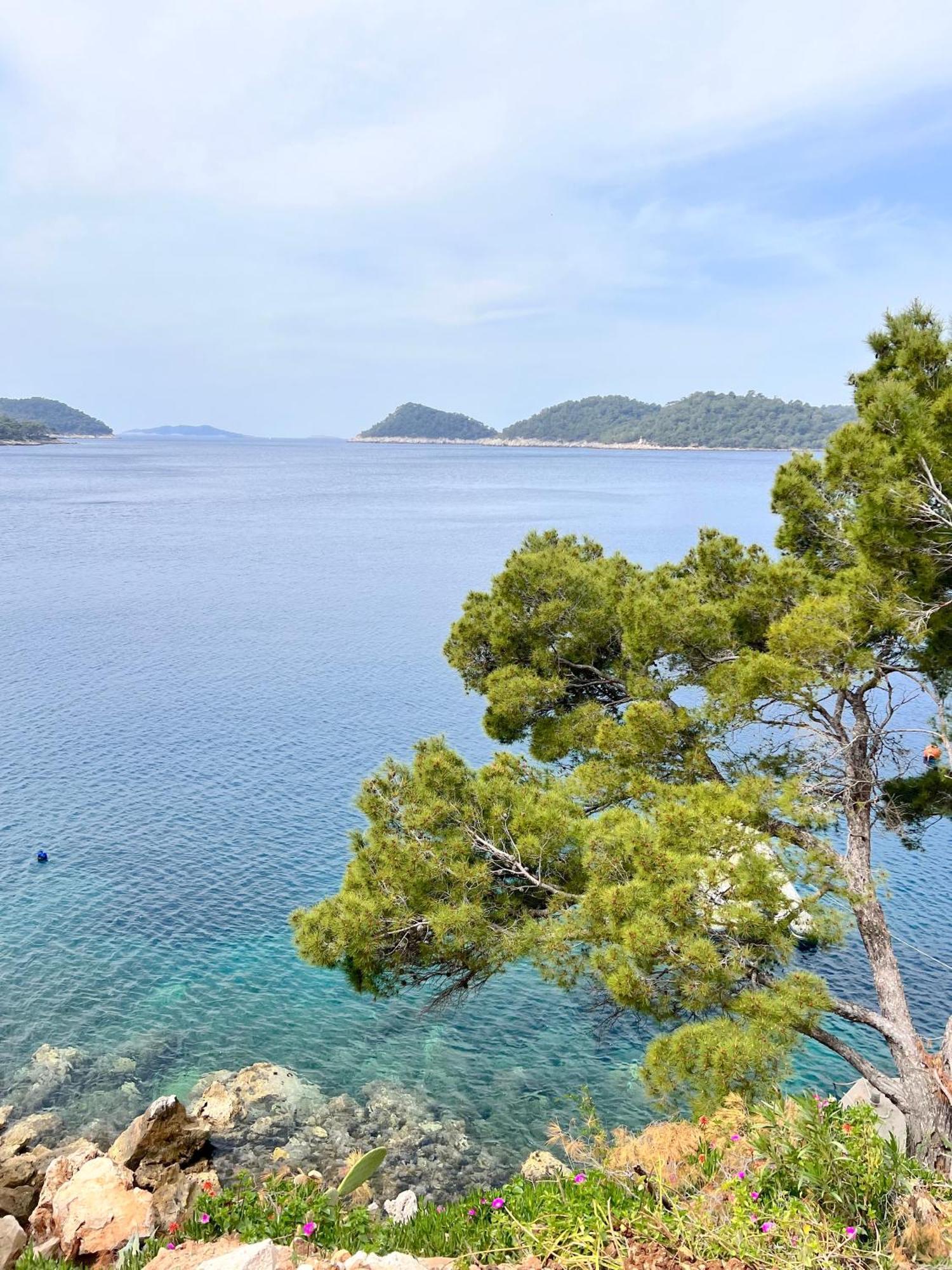 Terrace Studios With Panoramic Seaview Uble エクステリア 写真